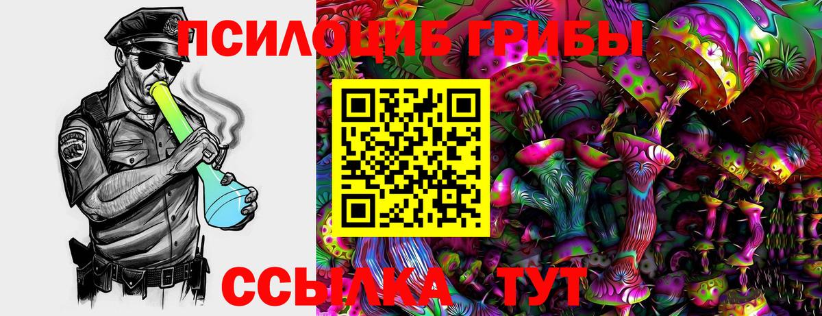 Псилоцибиновые грибы Cubensis  Вход с VPN  Псилоцибиновые грибы Cubensis  Касимов 